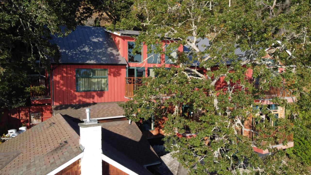 Salishan Tree House Suite Cowichan Bay Exteriör bild